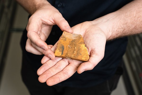 Dr Matt McCurry with Midge Fossil from the Australian Museum Palaeontology Collection
