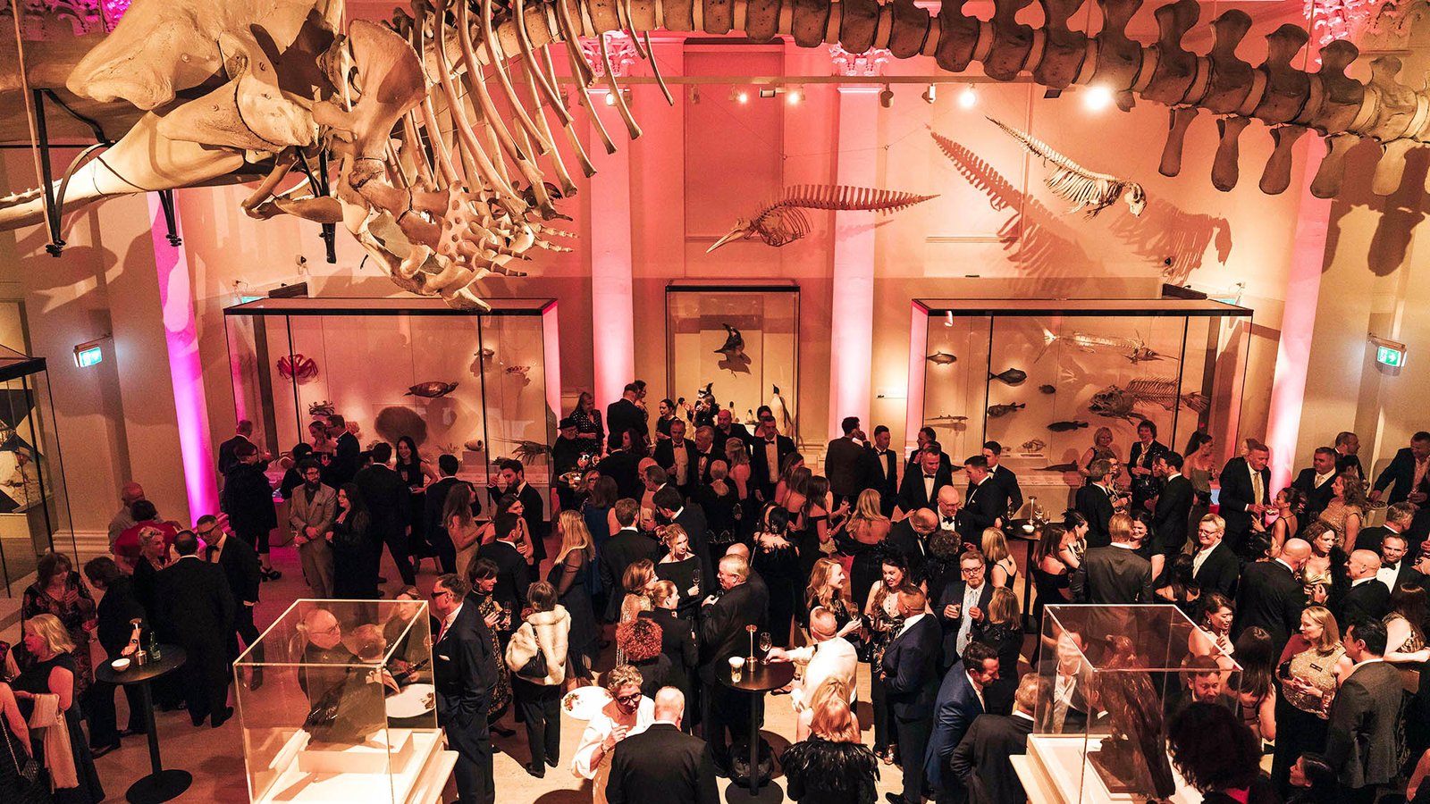 The annual Australian Museum Foundation’s Gala Dinner, <i>Night at the Museum</i> 2025.