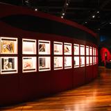 <i>Bloodsuckers: Nature's Vampires</i> exhibition featuring a curved wall of illuminated specimen cases showing the diversity of blood-feeding animals, alongside an enlarged model of the Eastern Paralysis Tick, a parasite found in eastern Australia.