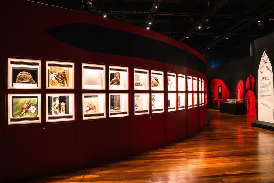 Bloodsuckers: Nature's Vampires Exhibition