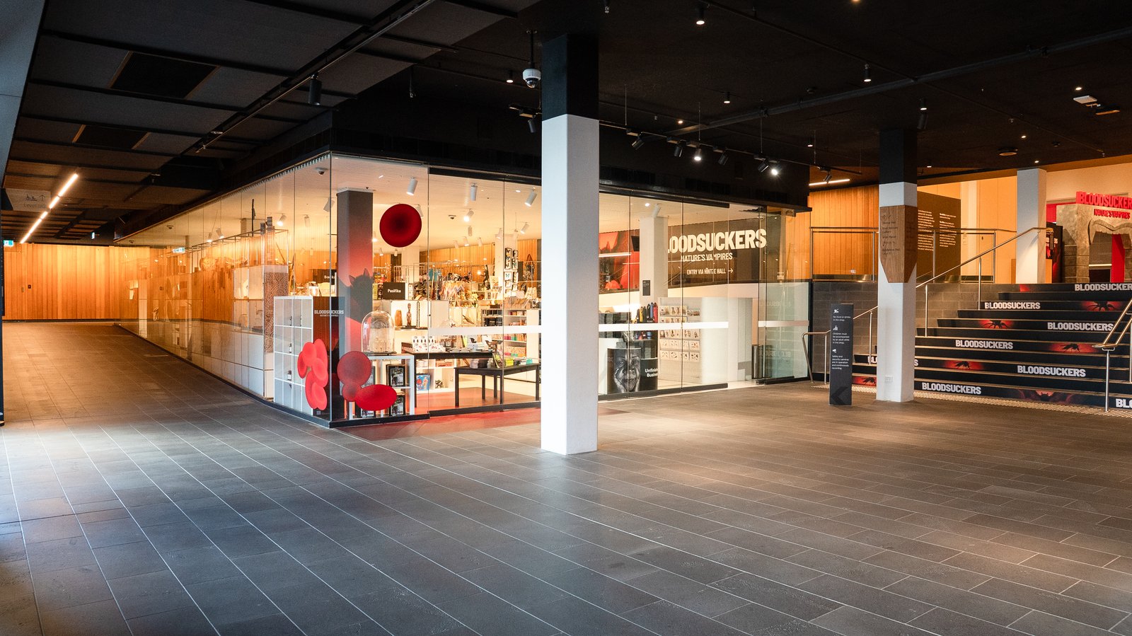 Australian Museum shop front with Bloodsuckers exhibition signage and stairs leading to entrance.