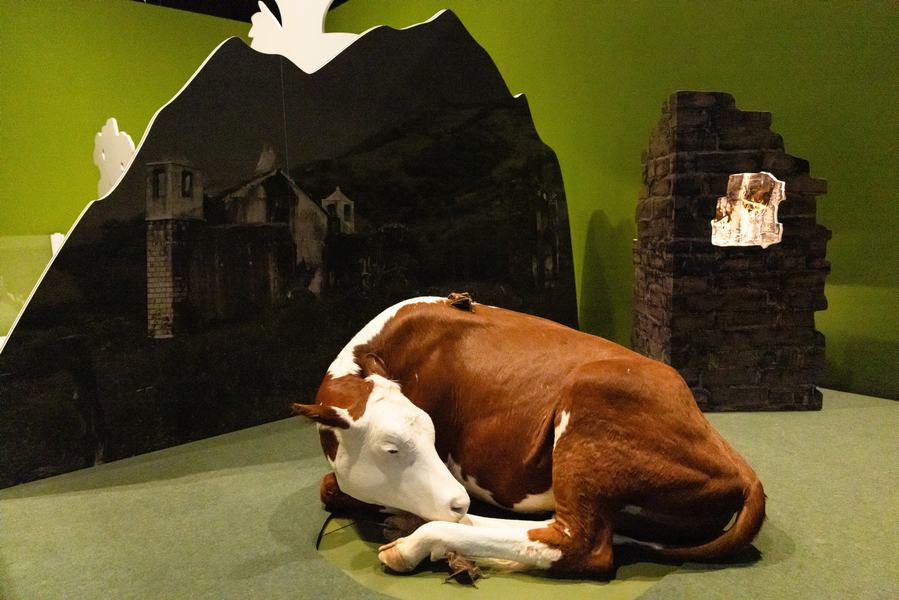 Bloodsuckers: Nature's Vampires exhibition - vampire bats