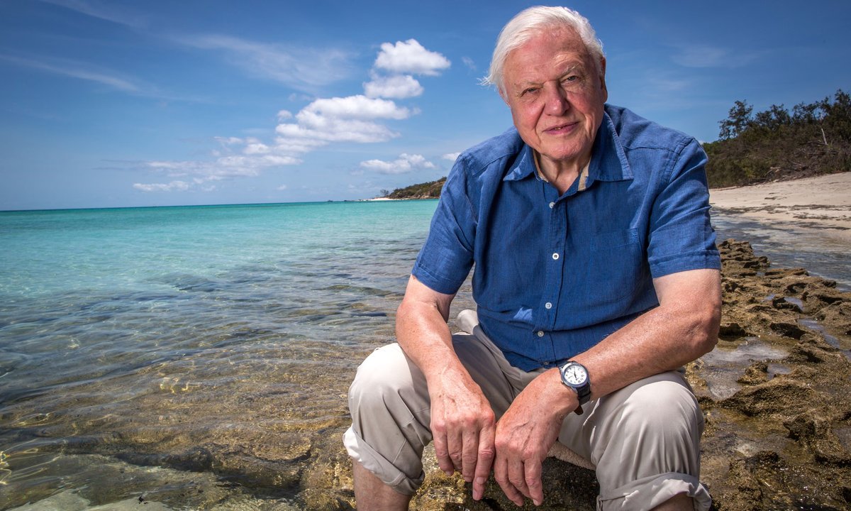 Celebrate Sir David Attenborough’s 100th birthday with the Australian Museum