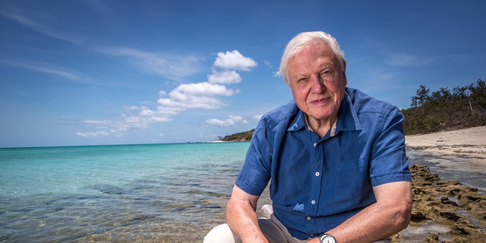 Sir David Attenborough seated on a rock at the Great Barrier Reef, circa 2015.