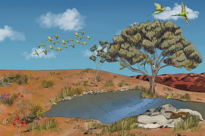 Surviving Australia, The Red Centre banner