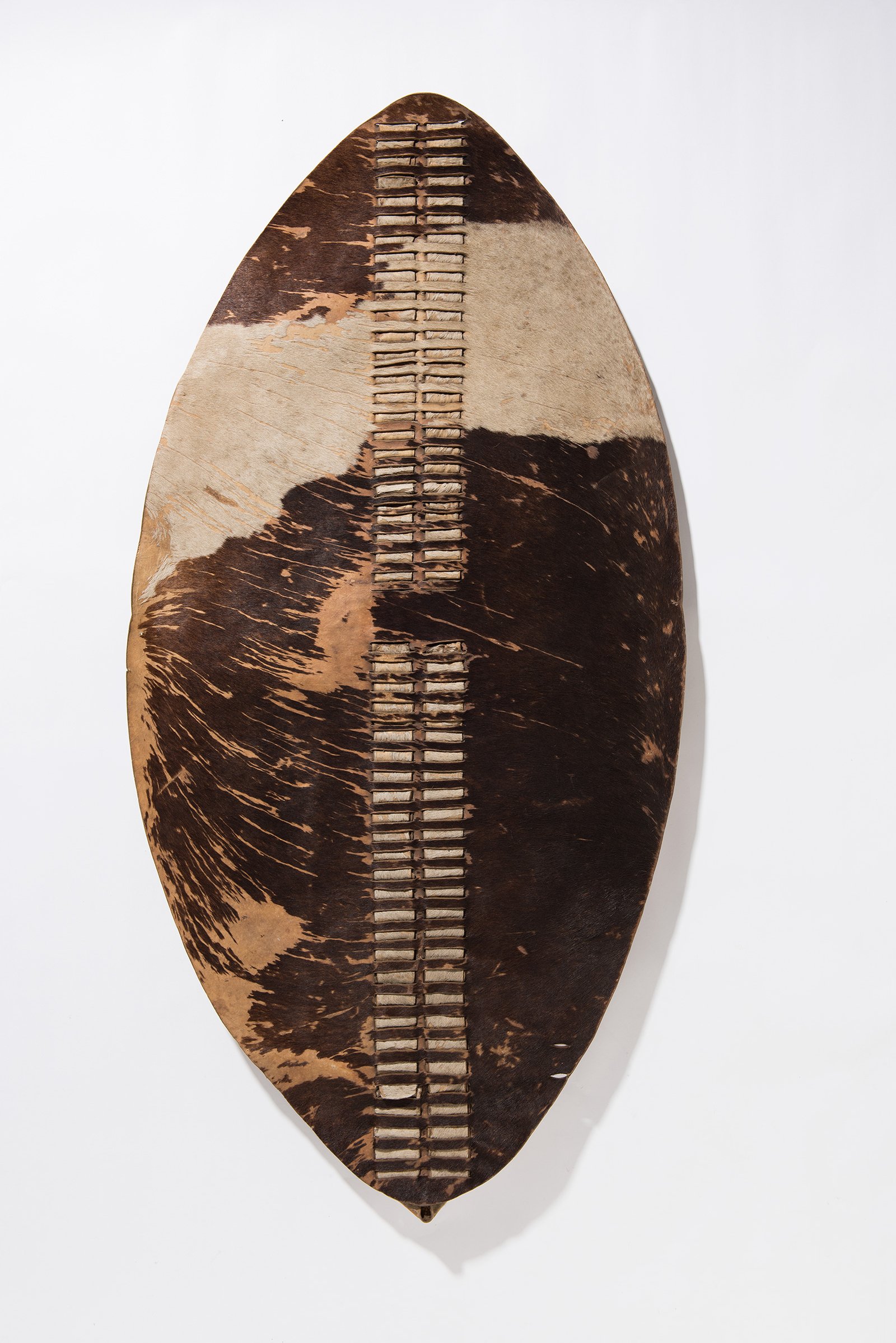 Large oval Zulu shield made from dark Nguni cattle hide with pale markings and a central spine.