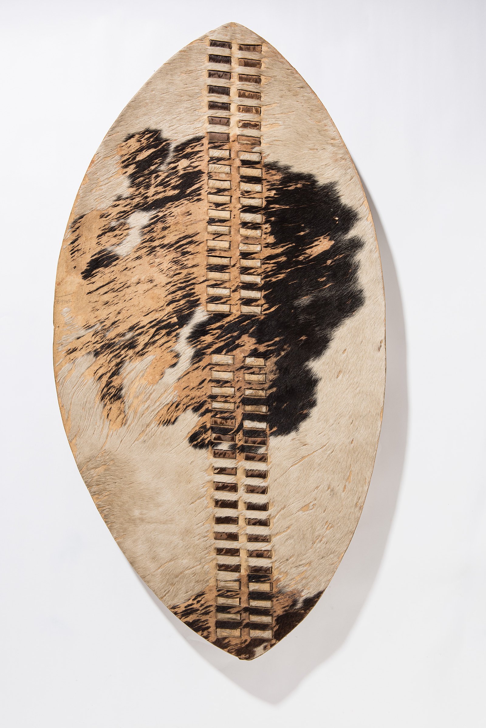 Large oval Zulu shield made from pale Nguni cattle hide with black markings and central spine.