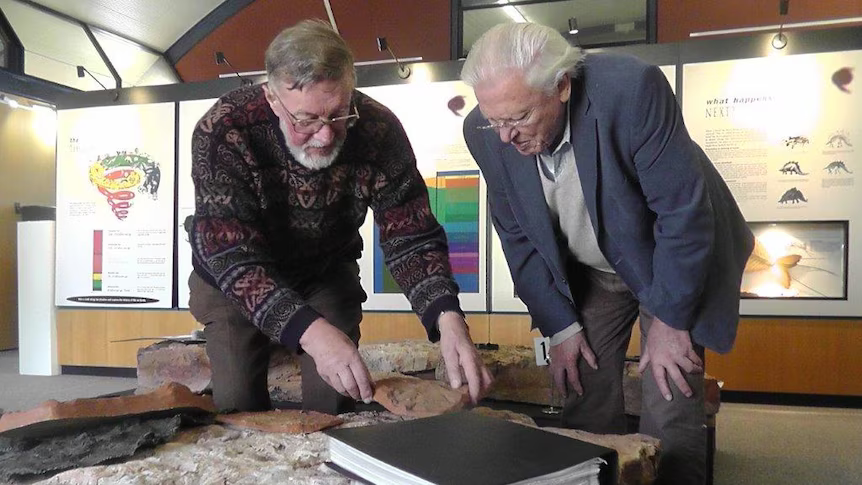 Two men bending over and looking at fossils on a table, with gallery in background.