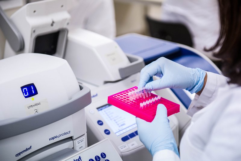 DNA barcoding: Secondary unit - The Australian Museum