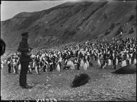 AMS351/V15959 - Hurley Antarctic