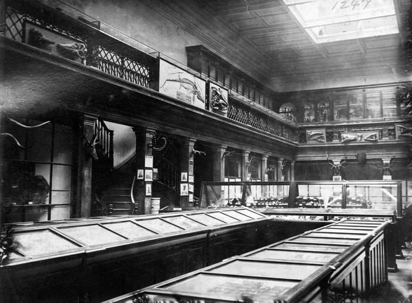 Australian Museum geology and minerals gallery (AMS351_V01247)
