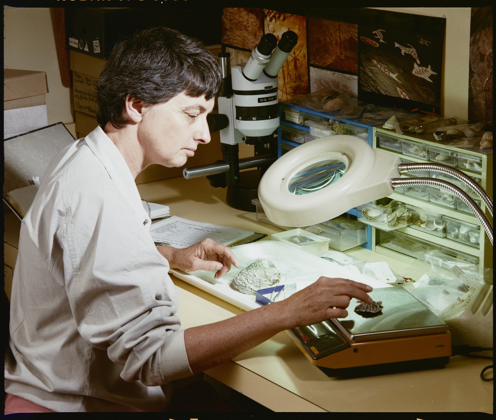 Photograph of a woman sorting objects underneath a microscope in a lab.