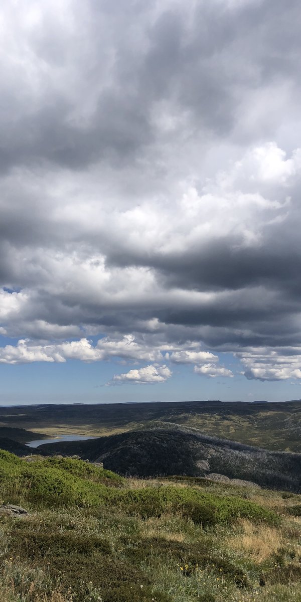 Nocturnal Worlds field work