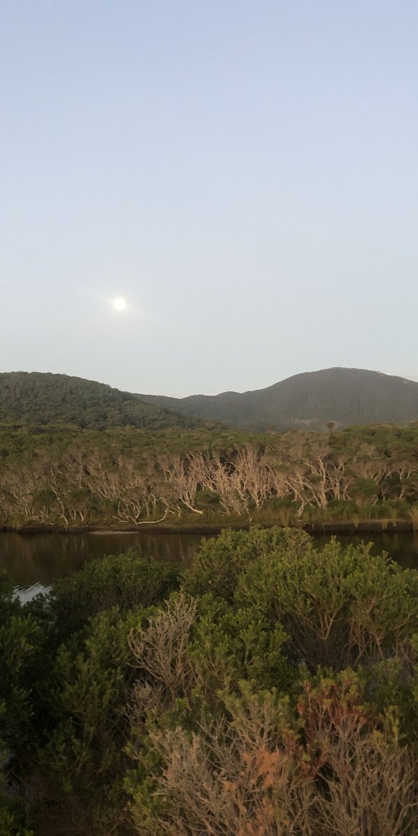 Nocturnal Worlds field work