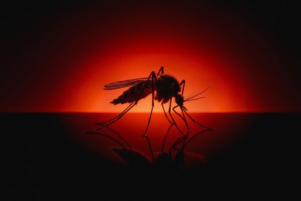 Bloodsuckers thumbnail