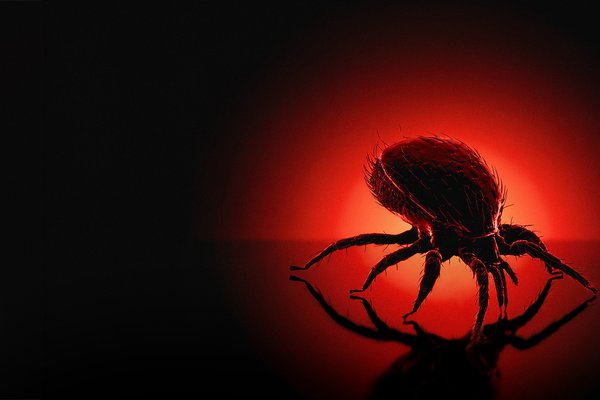 Bloodsuckers web hero banner - tick