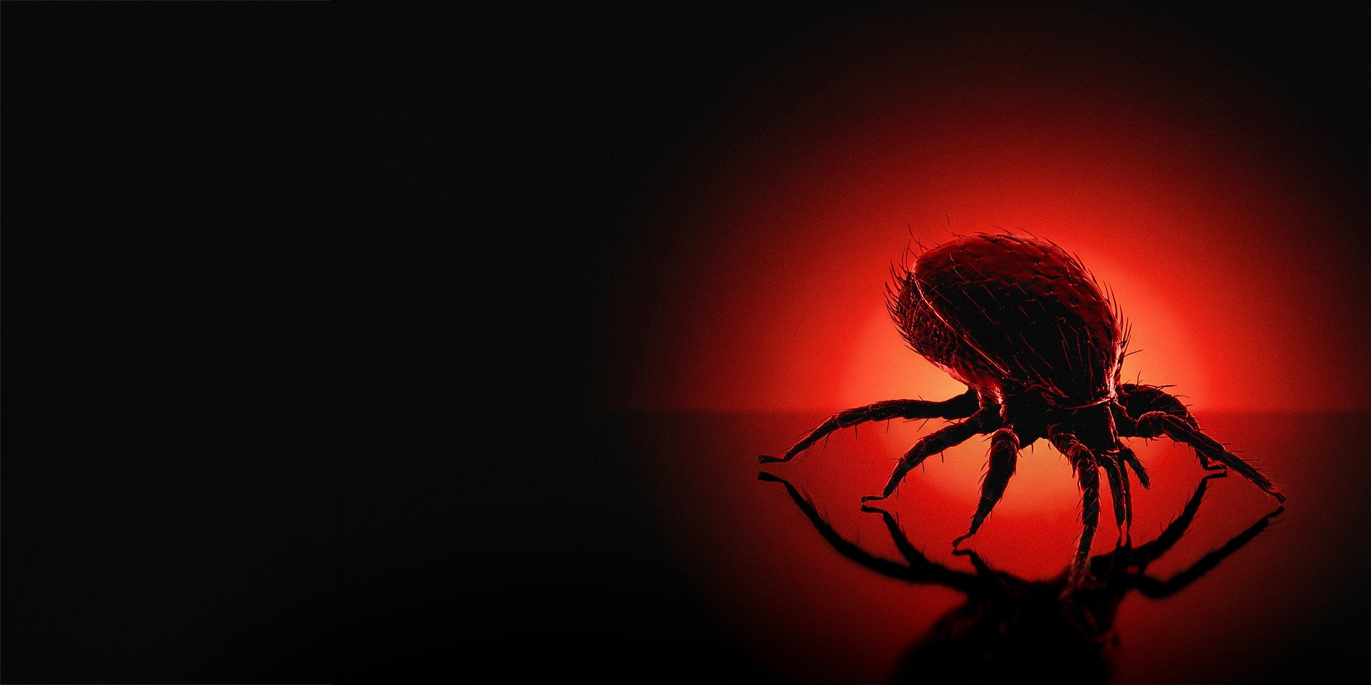 Bloodsuckers: Nature's Vampires competition - The Australian Museum