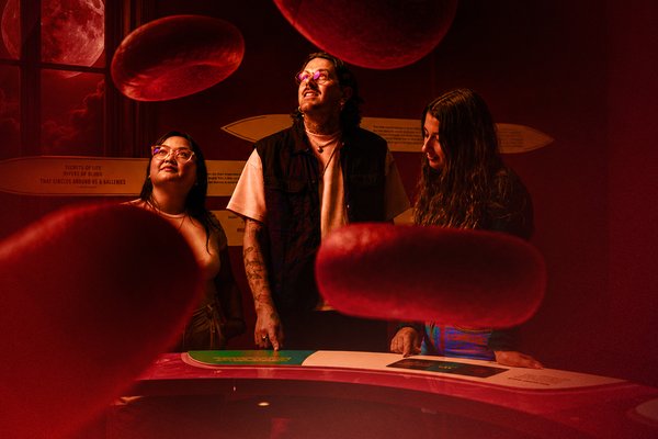 Bloodsuckers After Dark: Bite Night – visitors in exhibition gallery