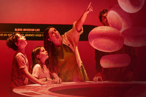 Bloodsuckers After Dark: Family Night – family in exhibition gallery