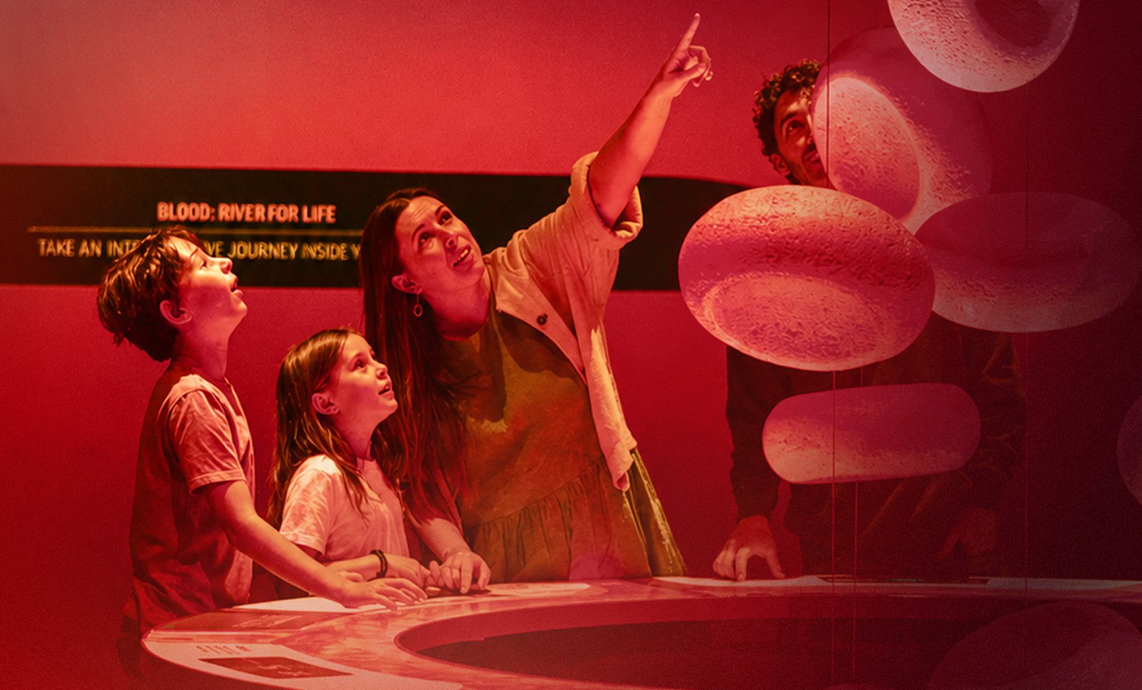 Two children and two adults look up in wonder at giant red blood cell models in Bloodsuckers.