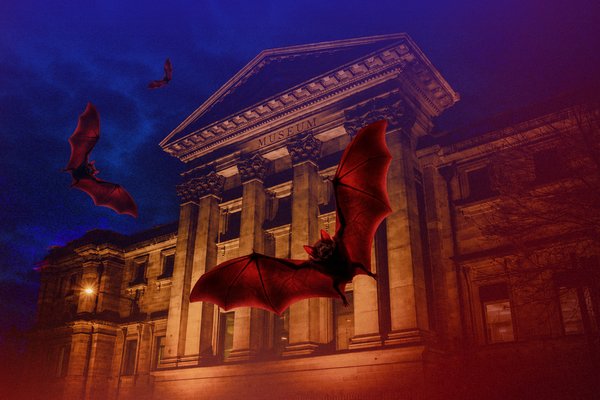 Bloodsuckers After Dark: Pride Night – bats over museum facade