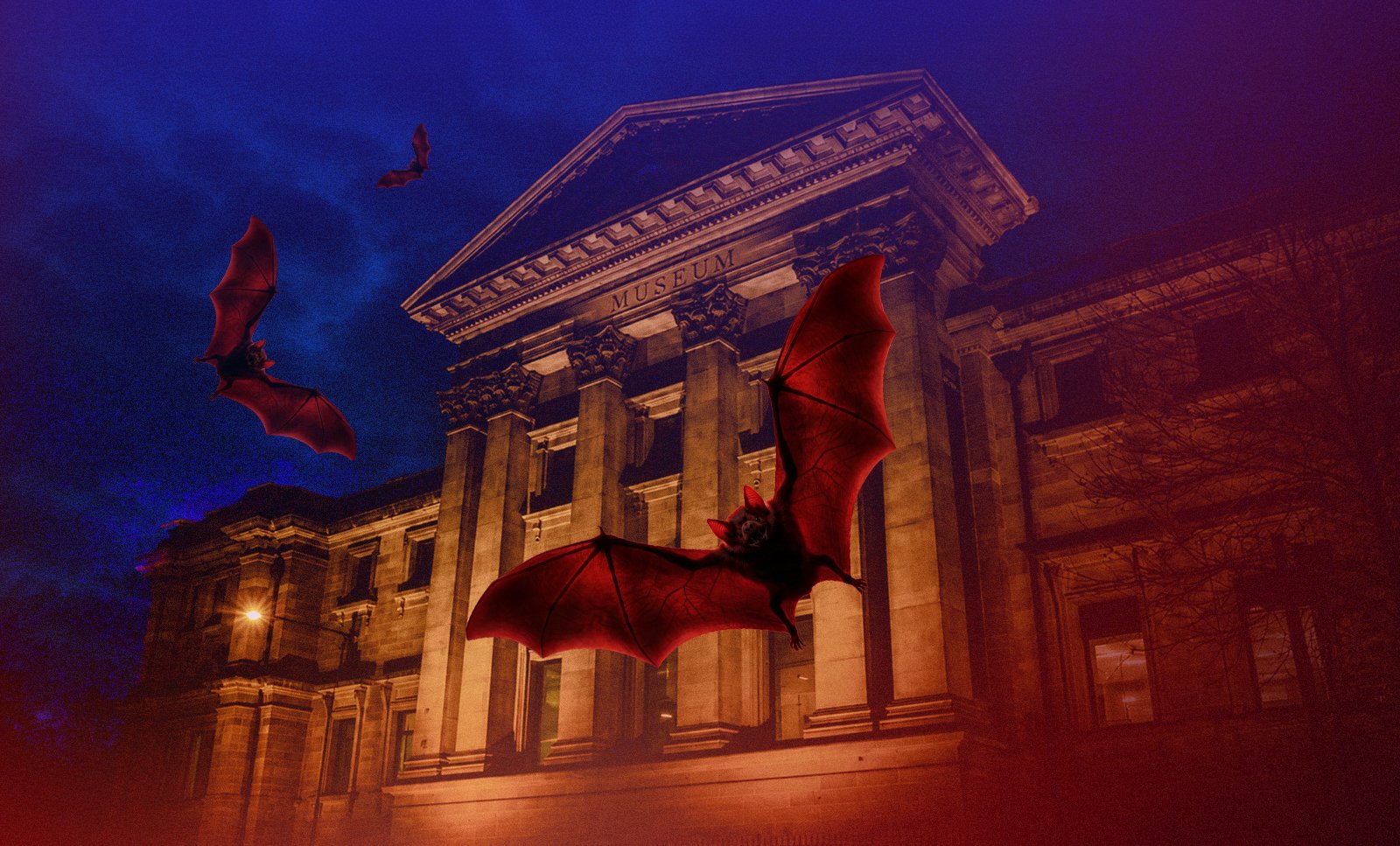 Illustrated bats fly in front of the illuminated museum facade at night against a dramatic sky.