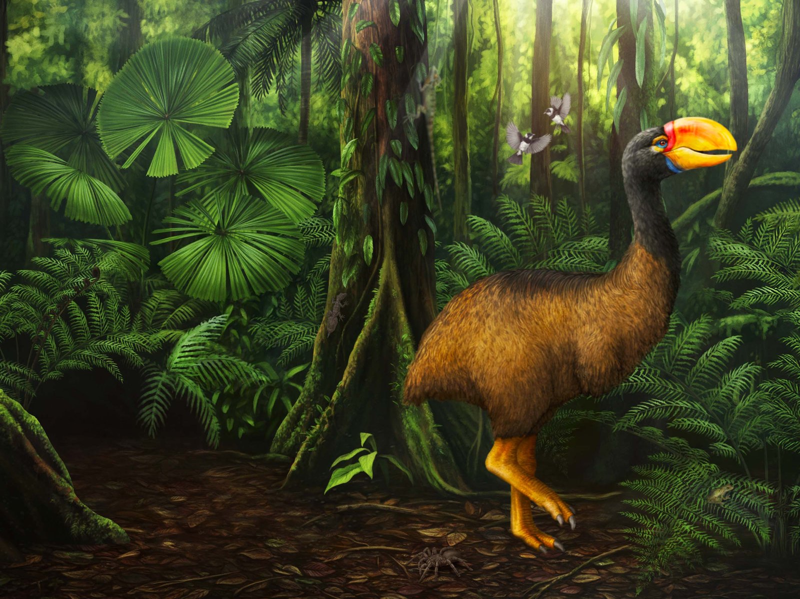 Surviving Australia exhibition hero thumbnail