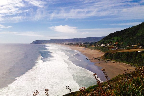 Wind swept Valdivian coastline.