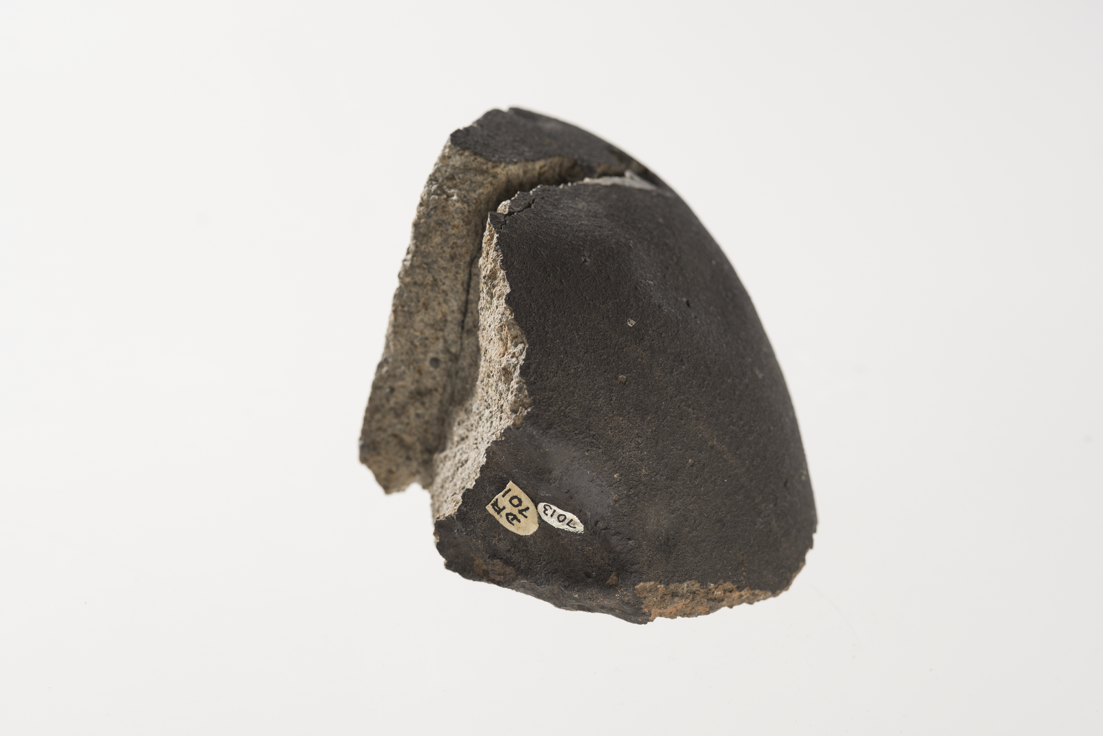 Grey meteorite against a white background. Some labels on the bottom left of the rock.