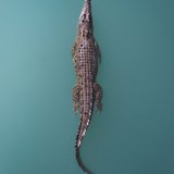 <i>2023 Australian Geographic Nature Photographer of the Year</i>
<p>
Winner Portfolio: Estuarine Crocodile by Lewis Burnett, Western Australia 
<p><i>I spent five months searching for crocodiles in blue water with conditions favourable for drone photography. I was beyond happy to photograph this Willie Creek resident early one morning on Dampier Peninsula. </i>