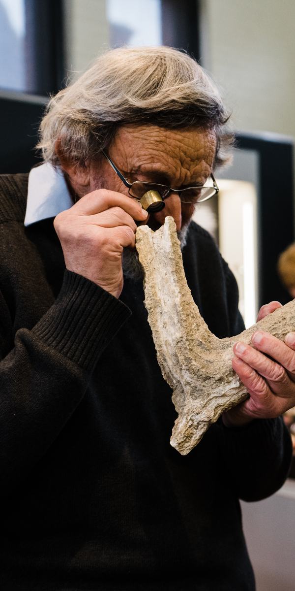Albert Champan Collection Bathurst Opening 2019