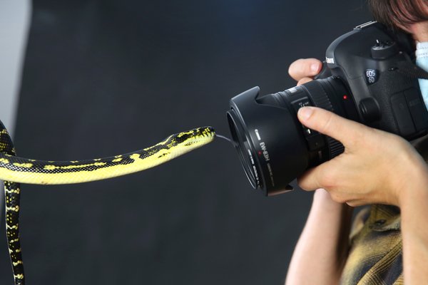 Digital Wildlife Photography Workshops