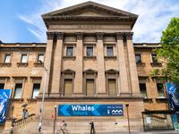 Australian Museum exterior with Whales | Tohora signage