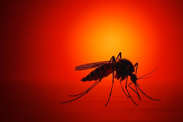 Bloodsuckers thumbnail