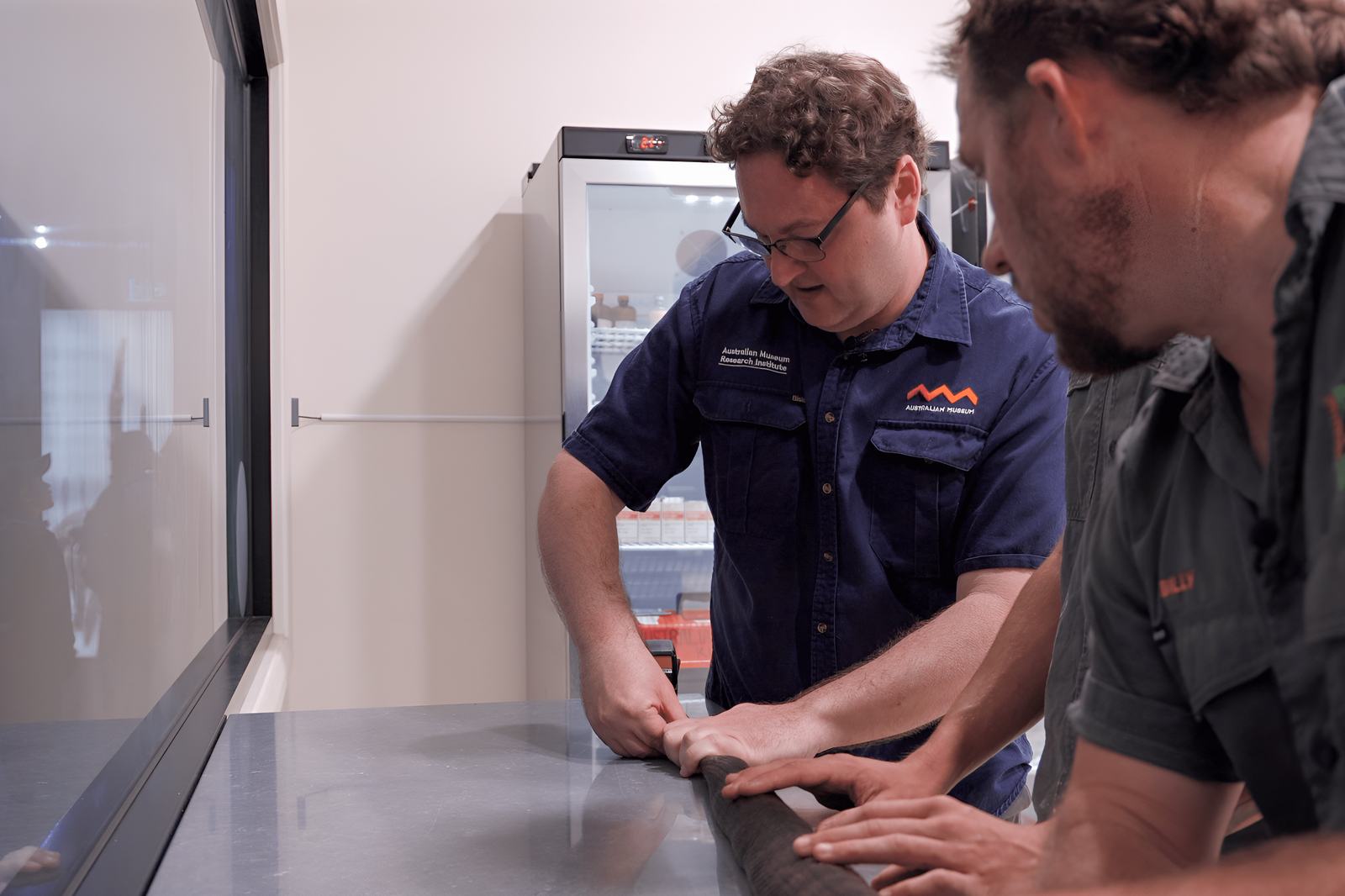 Dane Trembath, Collection Manager of Herpetology at the Australian Museum Research Institute assisting in measuring Shazza.