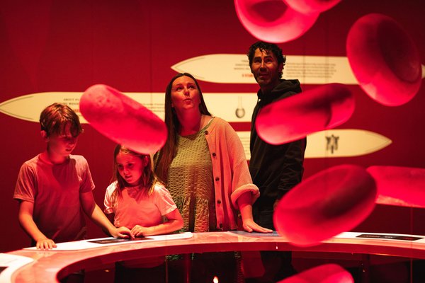 Two children and two adults look up in wonder at giant red blood cell models in Bloodsuckers.