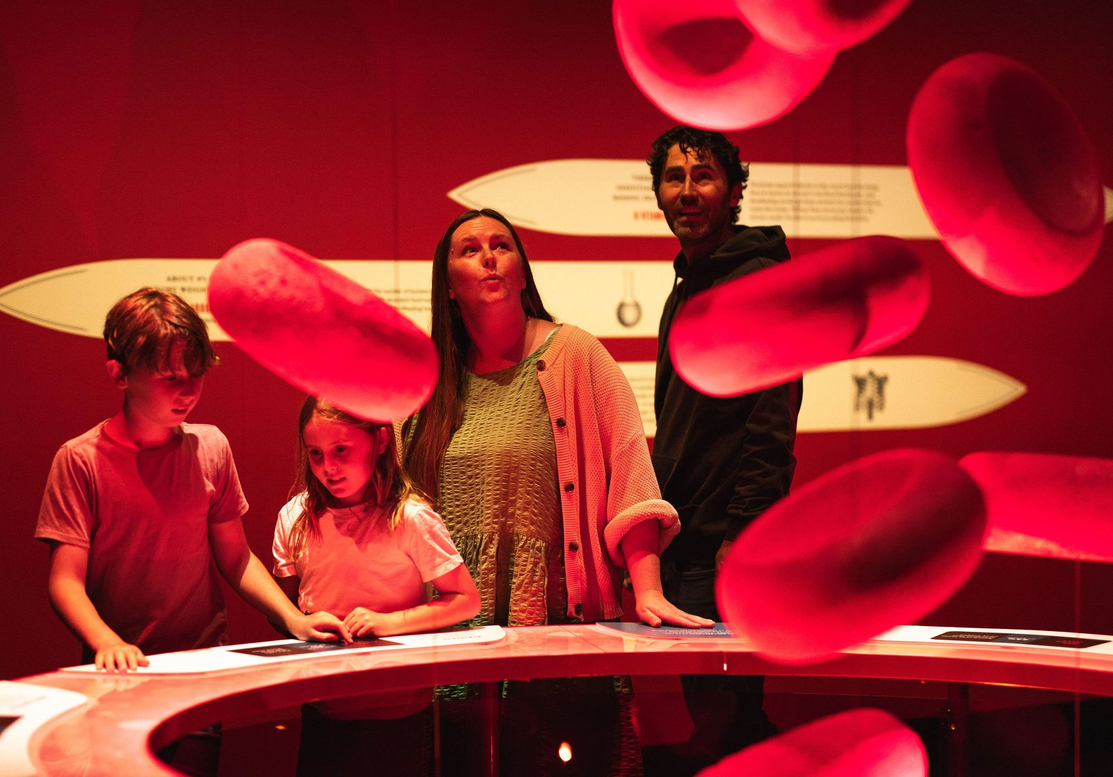 Bloodsuckers: Nature's Vampires exhibition at the Australian Museum.