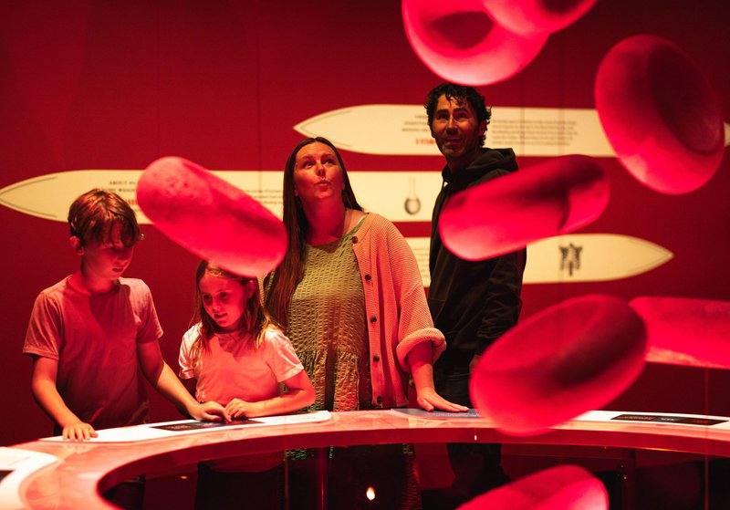 Two children and two adults look up in wonder at giant red blood cell models in Bloodsuckers.
