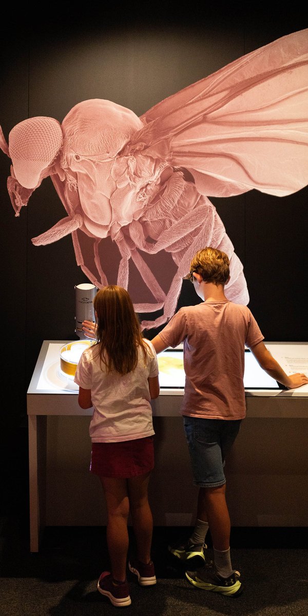 Bloodsuckers: Nature's Vampires exhibition