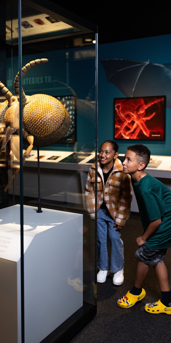 Bloodsuckers: Nature's Vampires exhibition