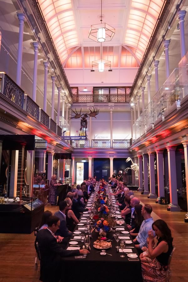 Buildcorp photos Drinks in Minerals gallery and dinner in the Westpac Long Gallery