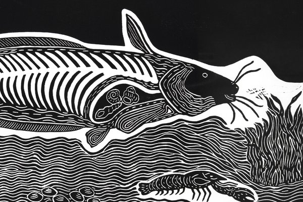 Print, 'No More Catfish', paper, Badger Bates, 2004, New South Wales, Australia