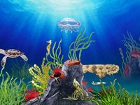 Caring for our Coast