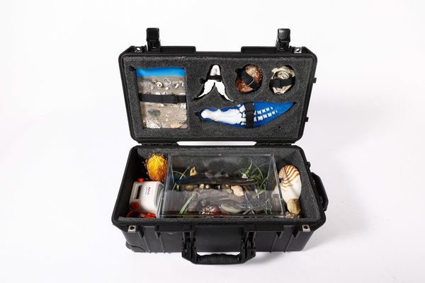 Caring for Coast Kit, December 2024