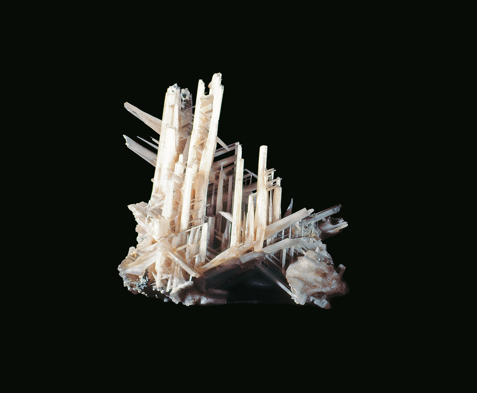 A cluster of white elongated cerussite long, bladed crystals, like miniature swords.