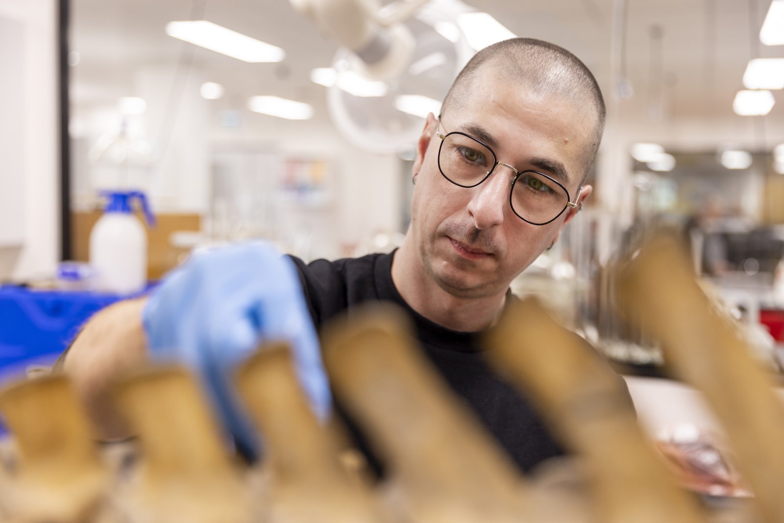 A man wearing glasses and blue gloves examines bones closely in a museum conservation laboratory.