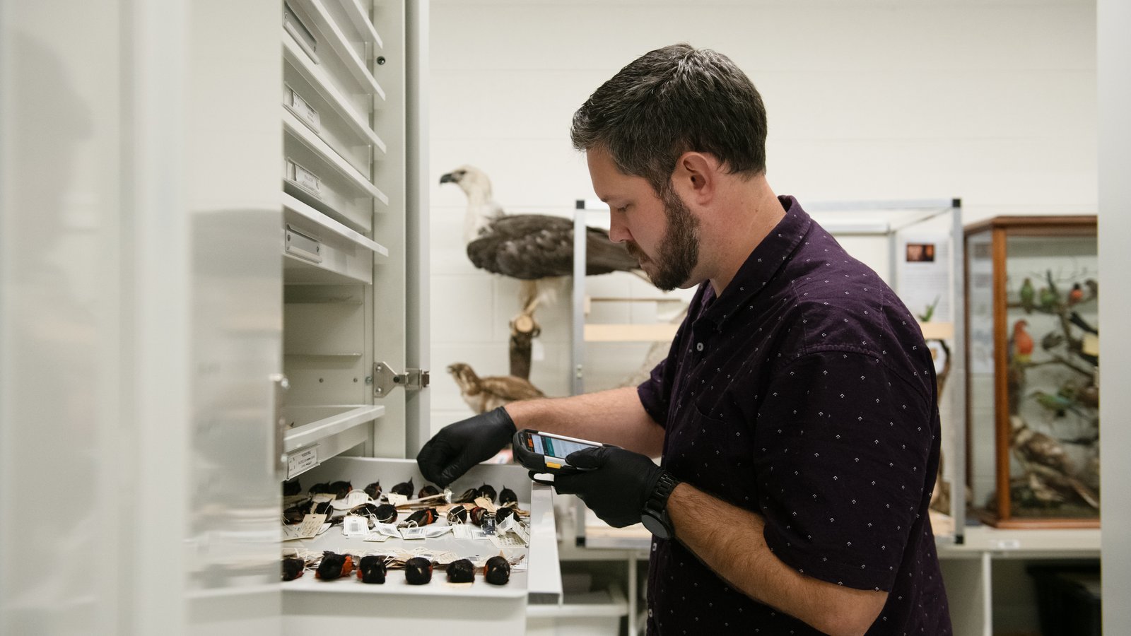 Collections Enhancement Project (CEP) - Barcoding Birds