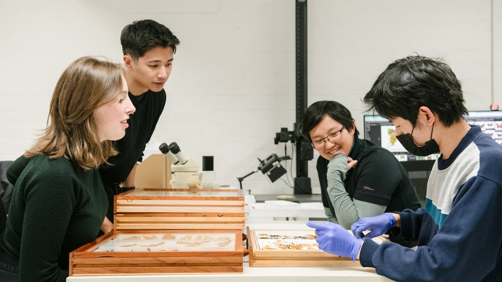 Collections Enhancement Project (CEP) - Entomology