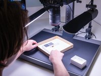 Collections Enhancement Project (CEP), inside the DigiVol Lab