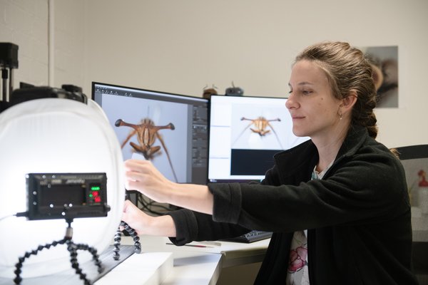 Collections Enhancement Project (CEP) - Entomology